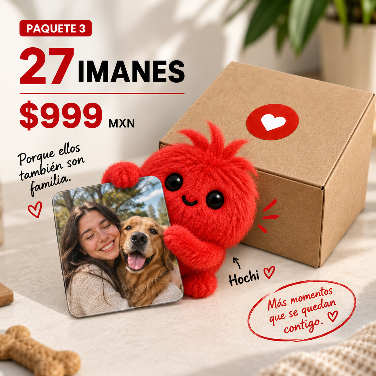 Paquete 27 imanes